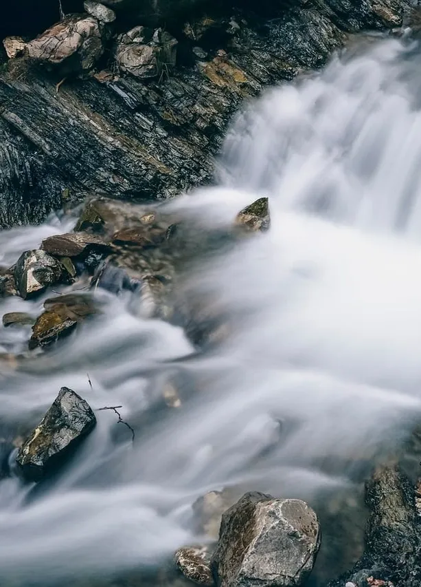 Running and Osteoarthritis