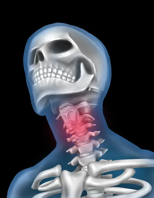 Back Pain and Neck Pain