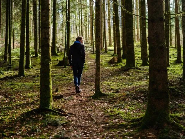 Steps to Success- Running and Walking tips