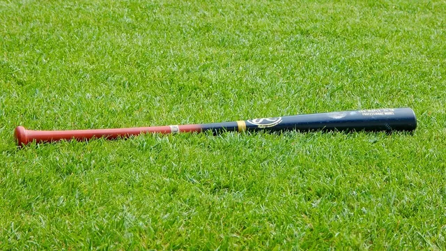 Young baseball players could benefit from preseason arm injury prevention programs